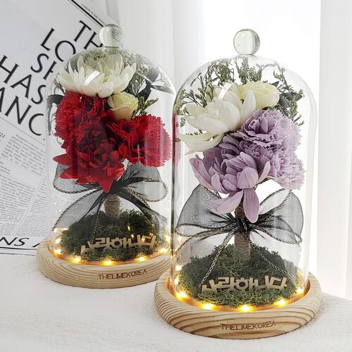 [더라임코리아] 엘레강스 카네이션 꽃 유리돔 대형 무드등 (2colors) 어버이날 선물
